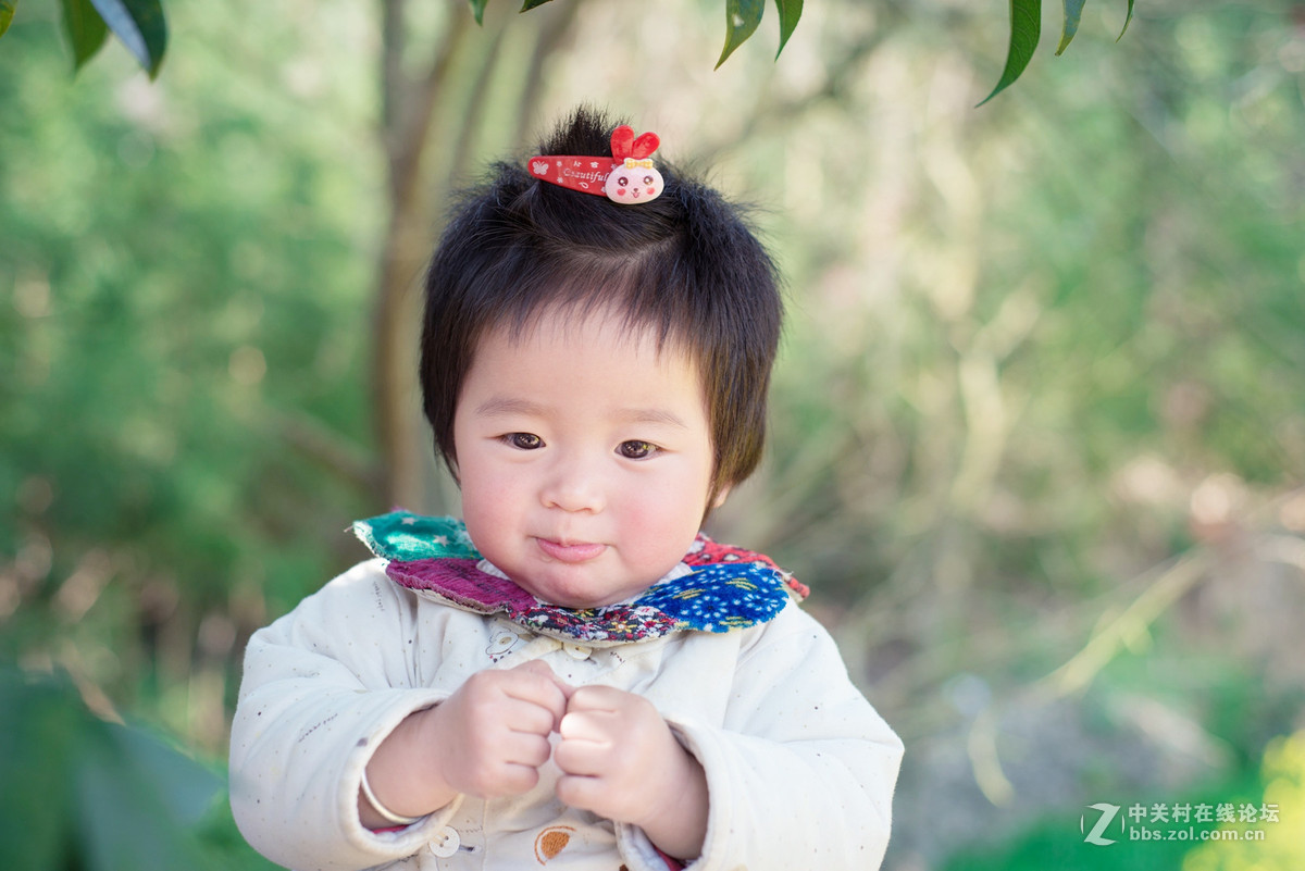 乐在花丛中——贺“侨乡星空(中国)”添新版主