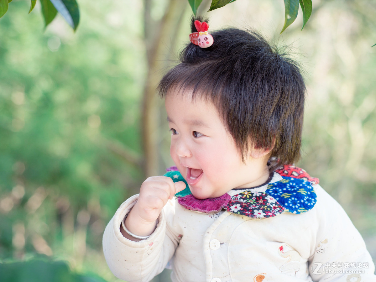 乐在花丛中——贺“侨乡星空(中国)”添新版主