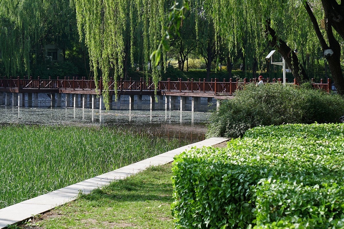 杂拍牡丹、打鸟——A6300固件升级2.01