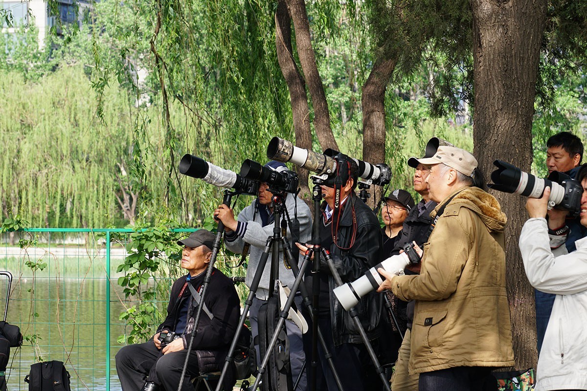 杂拍牡丹、打鸟——A6300固件升级2.01