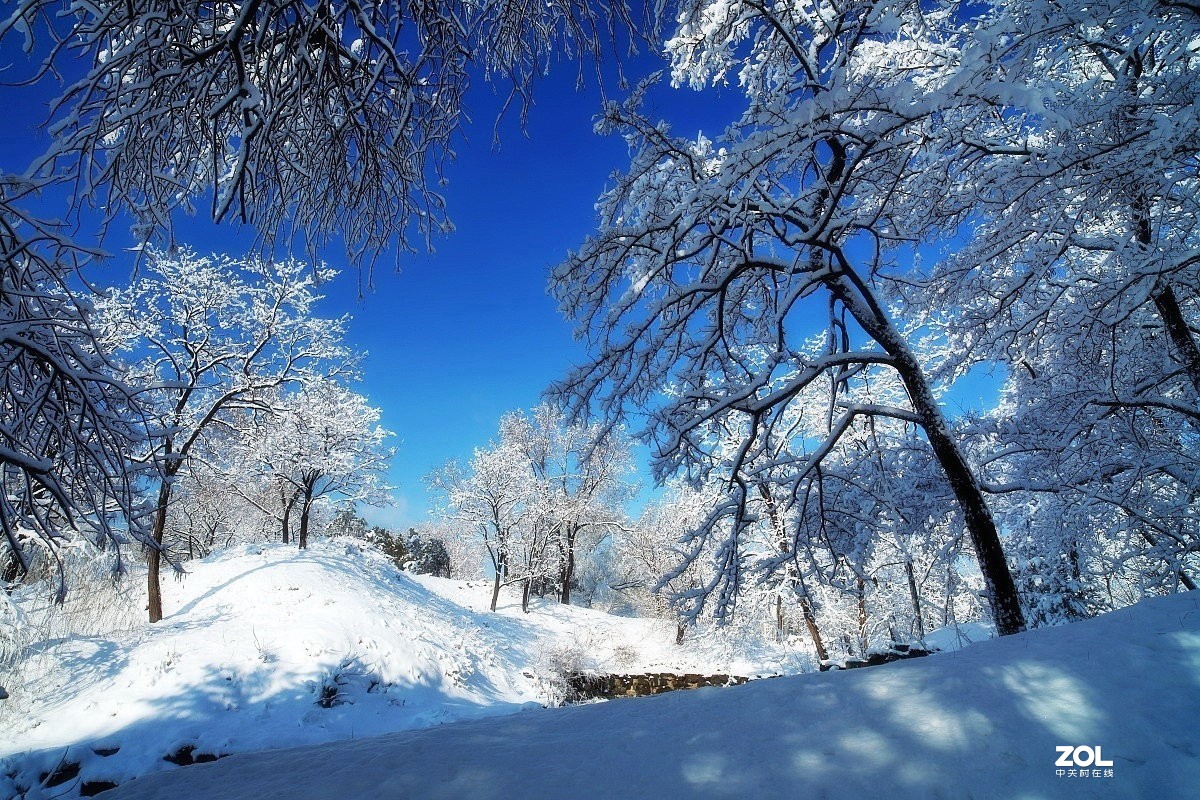 祝各位老师鼠年身体健康,阖家幸福,万事如意,大吉大利！