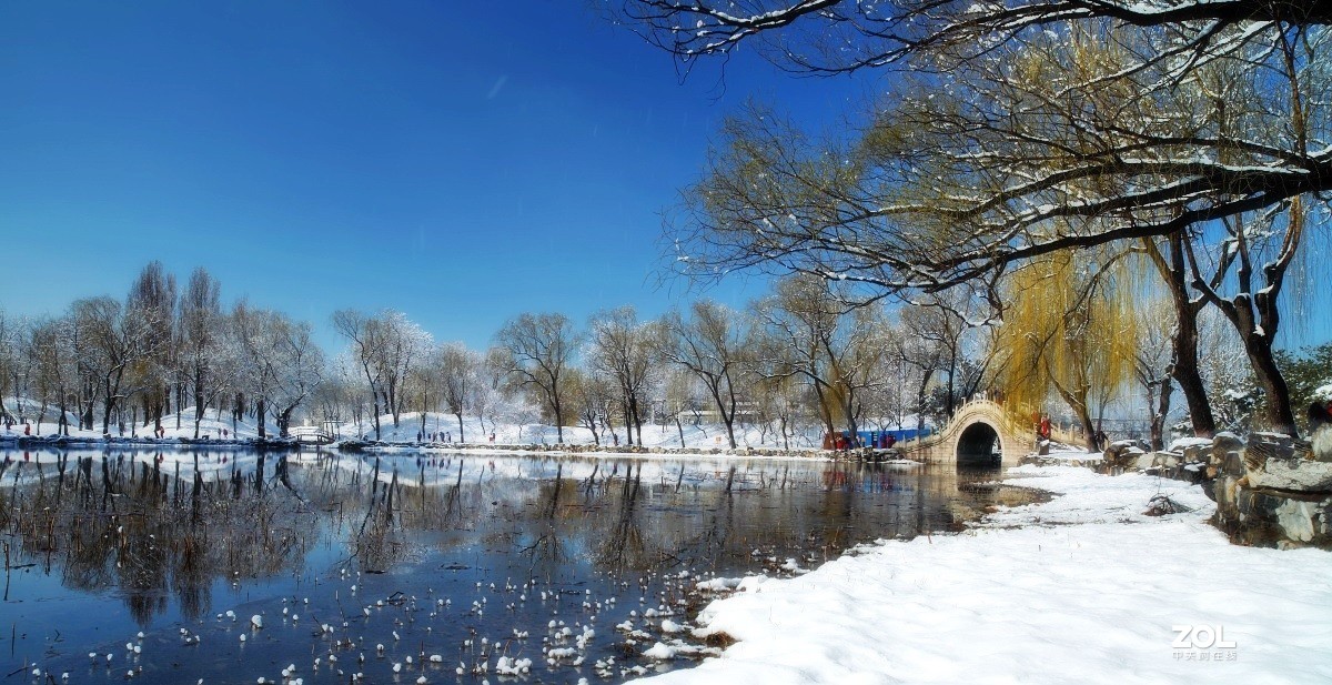 祝各位老师鼠年身体健康,阖家幸福,万事如意,大吉大利！