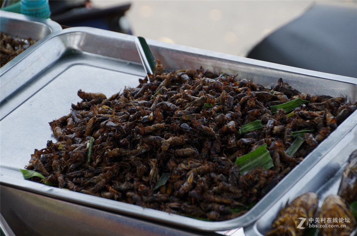 泰国曼谷卧佛寺随拍，宾得K50+18-270，内有恐怖小吃图