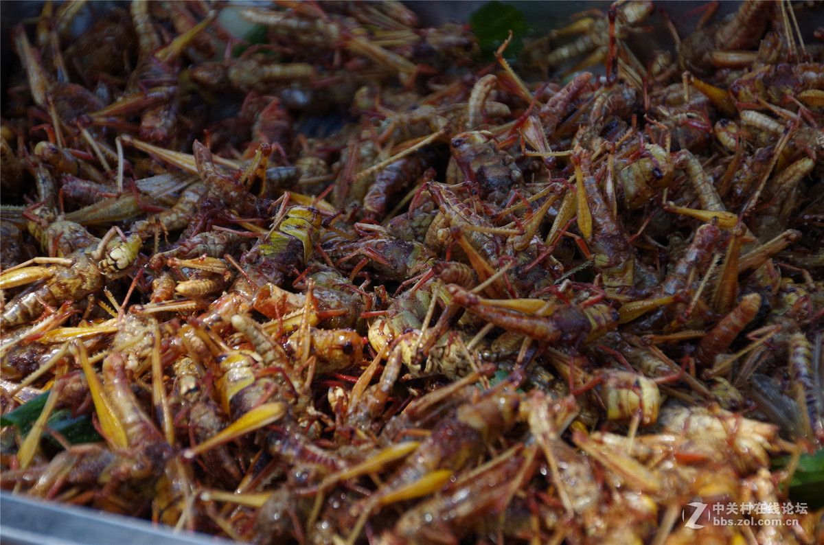 泰国曼谷卧佛寺随拍，宾得K50+18-270，内有恐怖小吃图