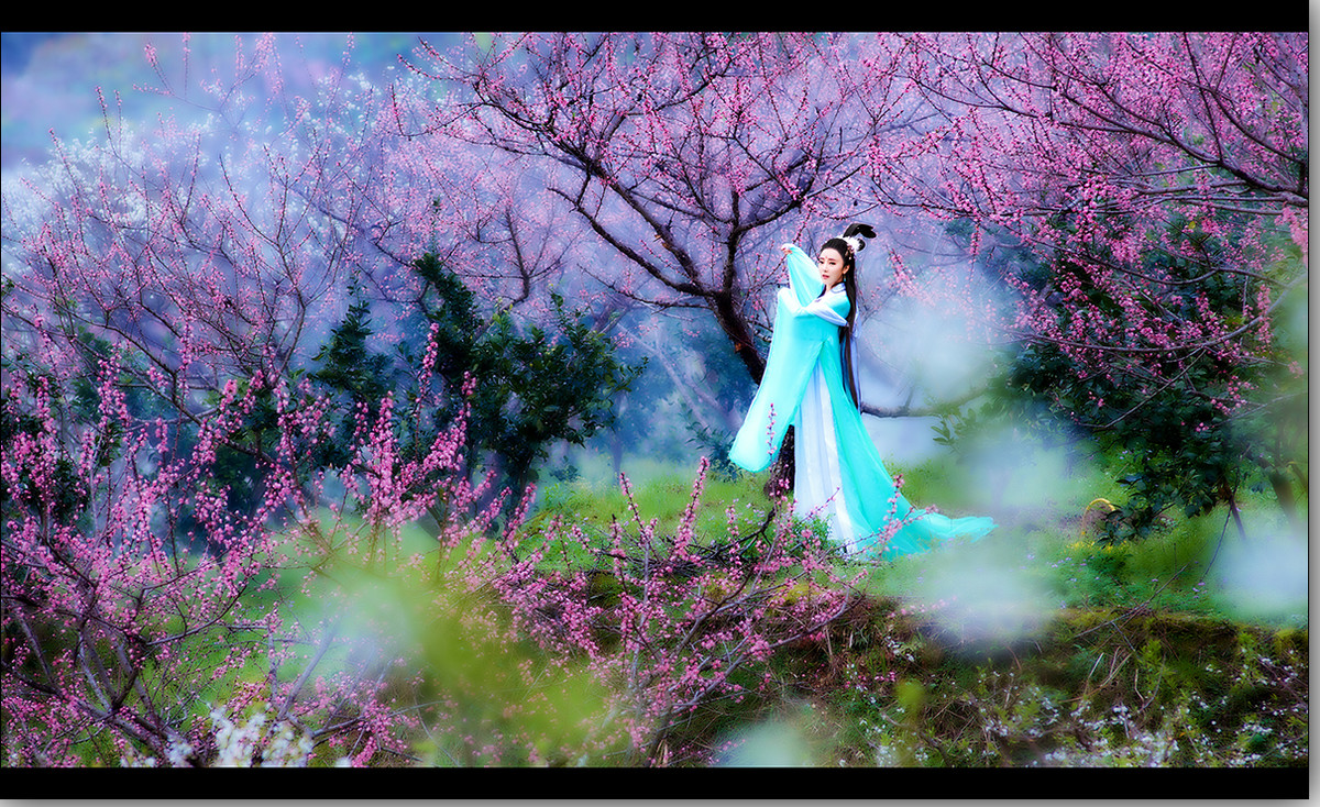 【强人视觉】-- 十里桃花