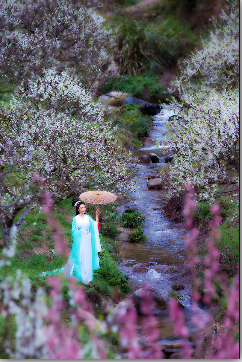 【强人视觉】-- 十里桃花