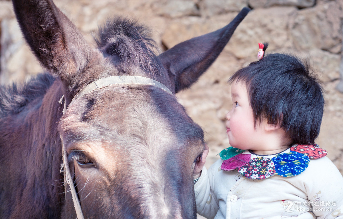 乐在花丛中——贺“侨乡星空(中国)”添新版主