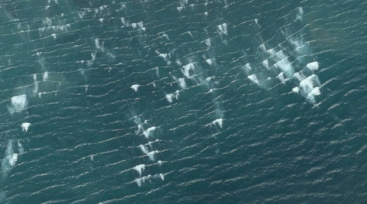 美丽星球2---南非开普敦