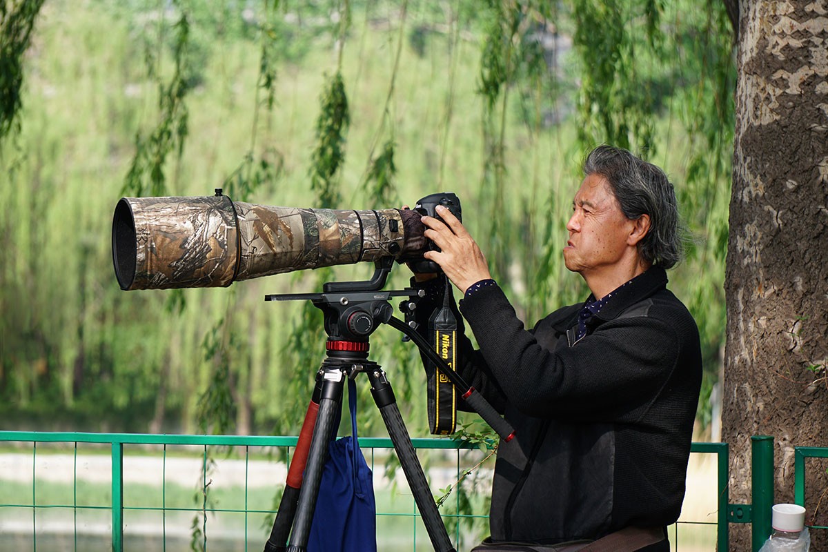 杂拍牡丹、打鸟——A6300固件升级2.01