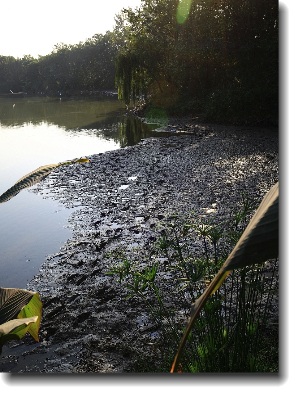 #ZOL月赛-记录最后的2015#—秋色正浓