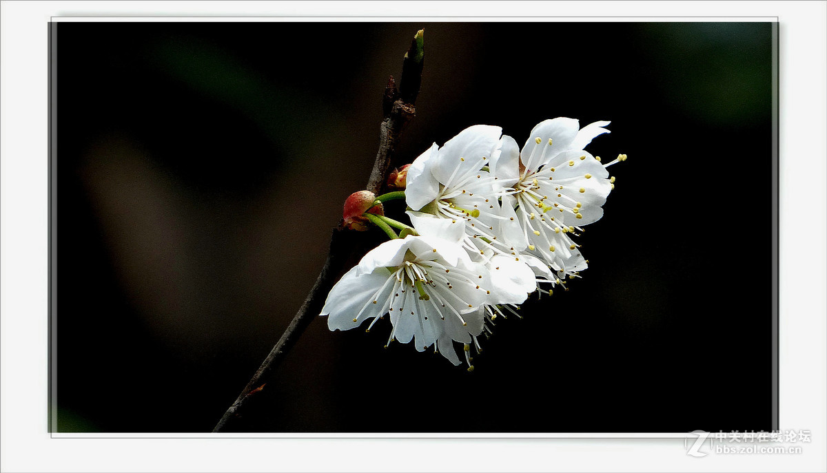 花...