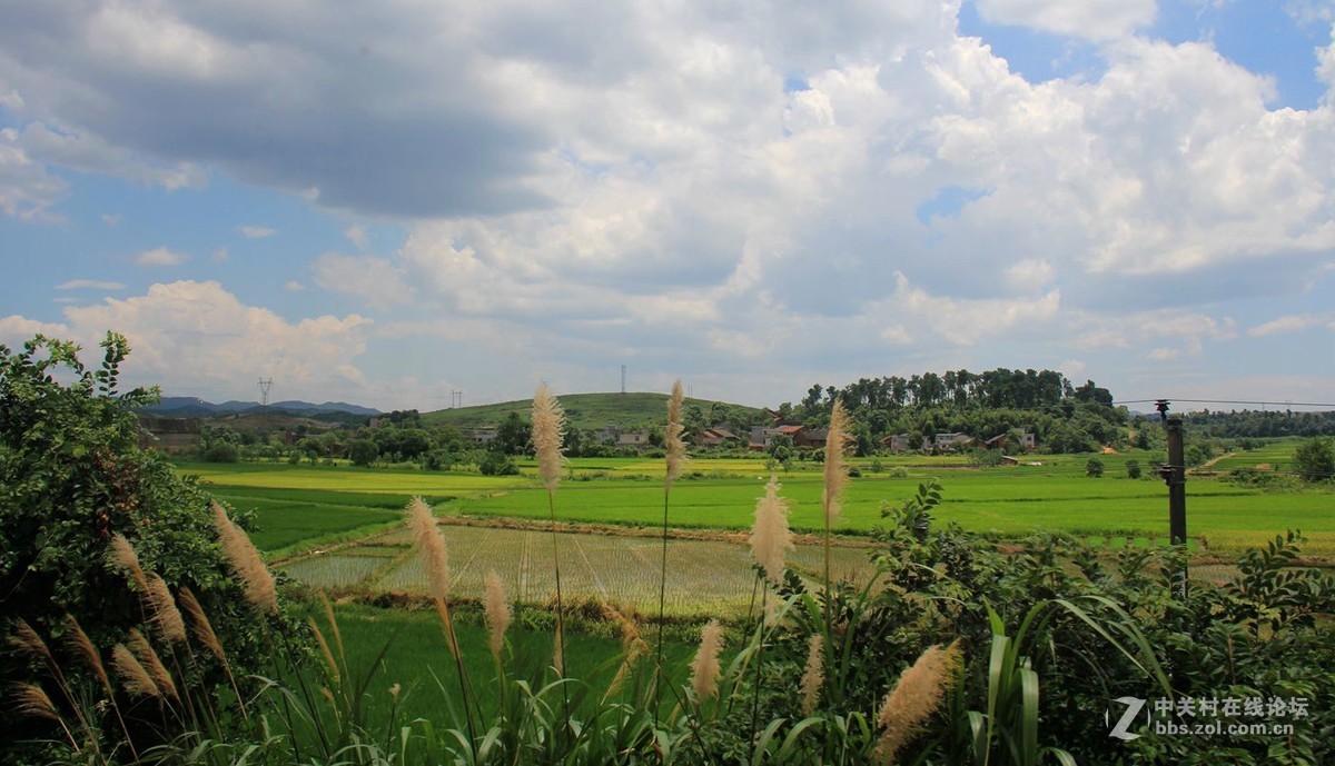 #佳能月赛-人与自然# ---乡间小景