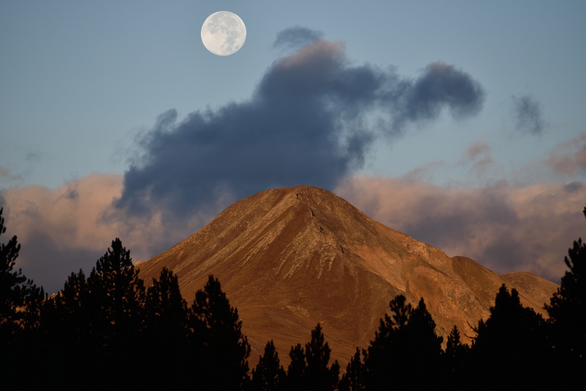 转载：尼康之眼