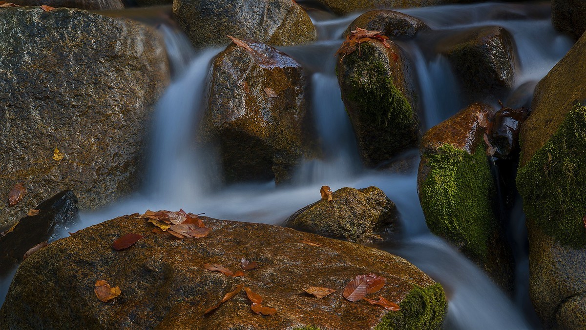 转载：尼康之眼