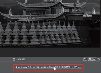 深度剖析 如何在ACR中制作高品质黑白影像