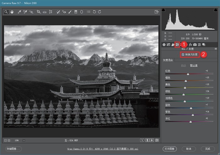 深度剖析 如何在ACR中制作高品质黑白影像