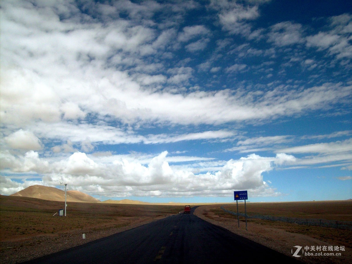 2018夏 川新藏（175）阿克赛钦藏羚羊