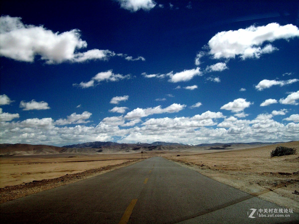 2018夏 川新藏（175）阿克赛钦藏羚羊