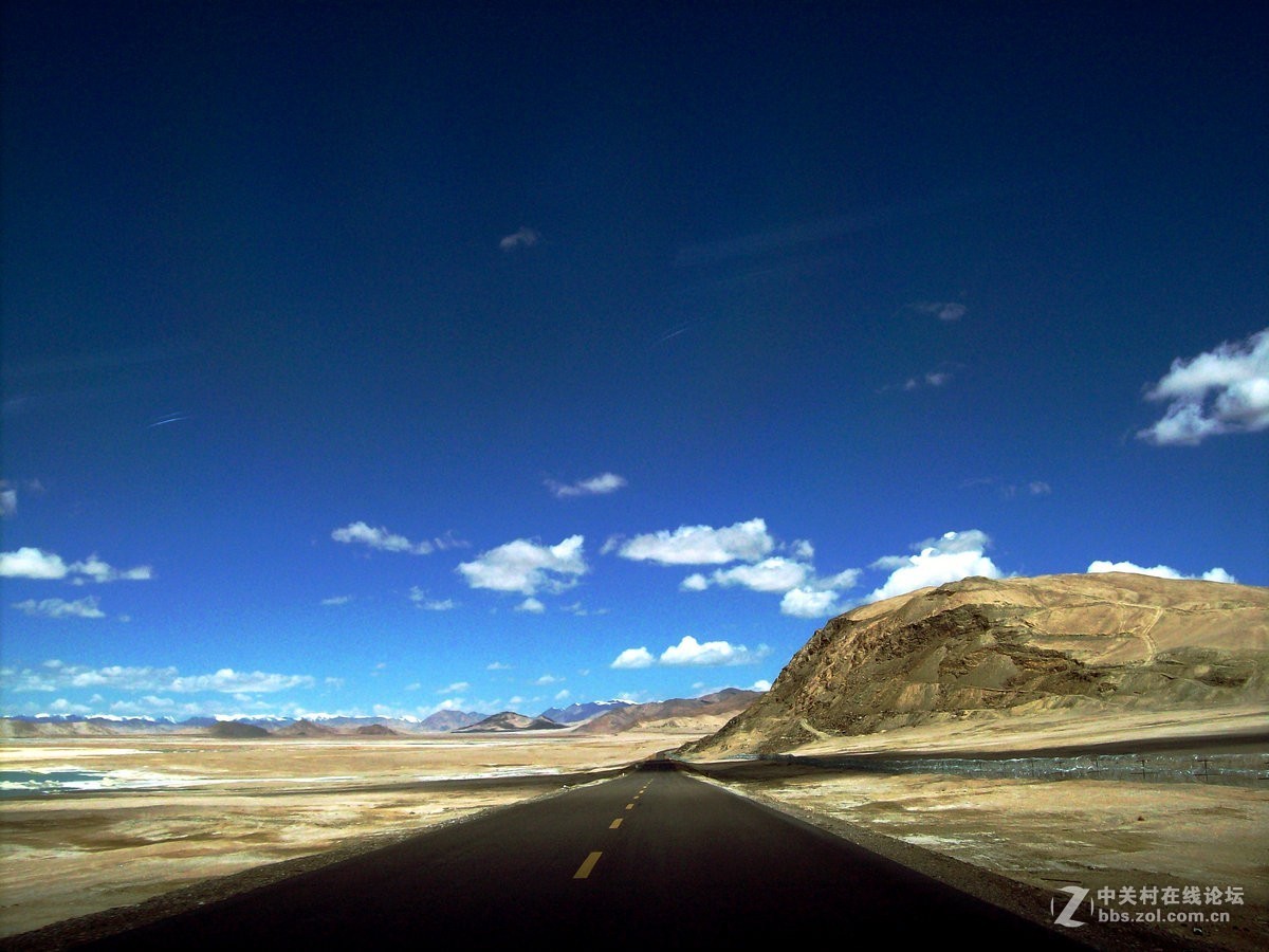 2018夏 川新藏（175）阿克赛钦藏羚羊