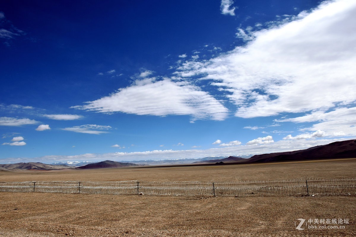 2018夏 川新藏（175）阿克赛钦藏羚羊