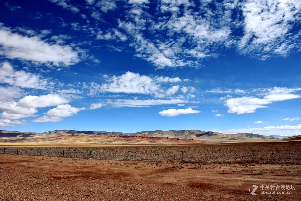 2018夏 川新藏（175）阿克赛钦藏羚羊
