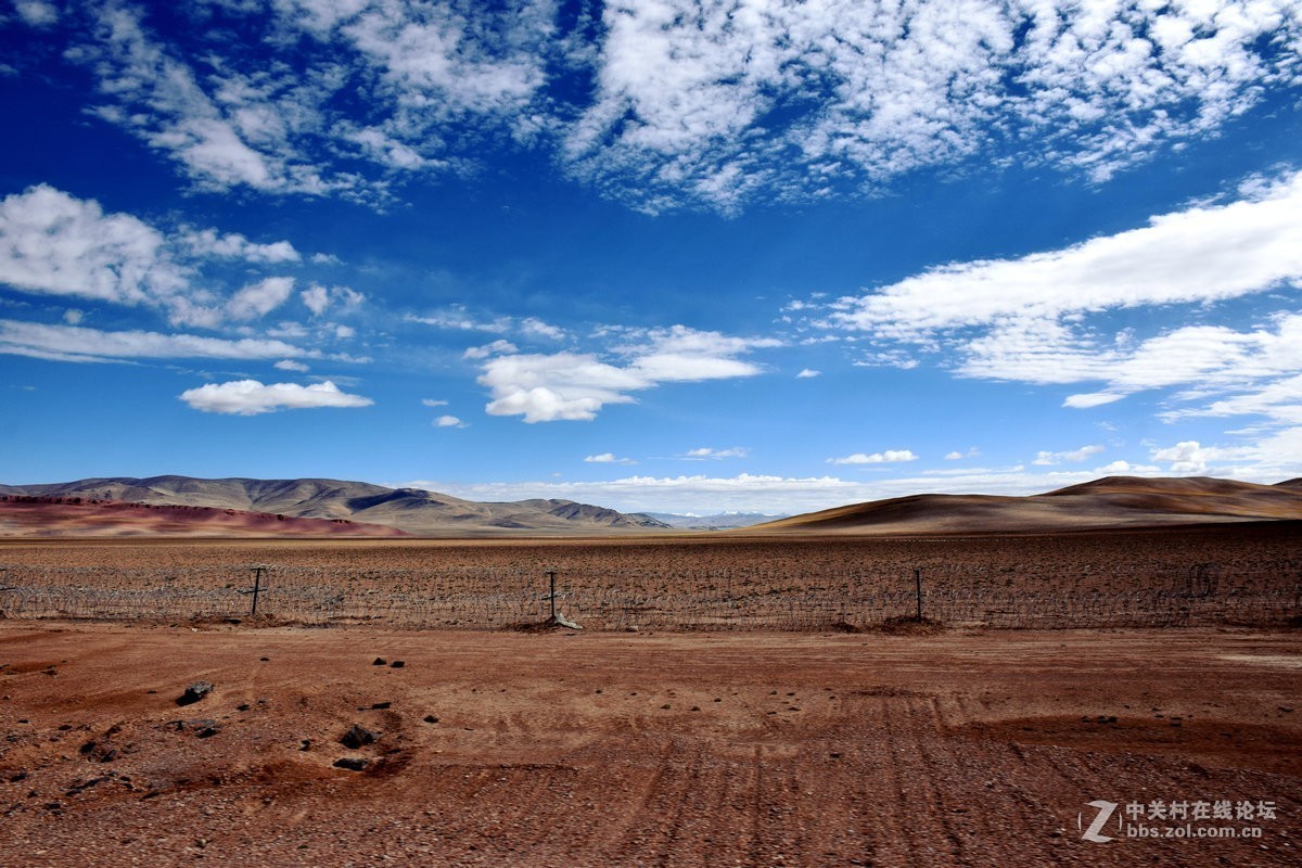 2018夏 川新藏（175）阿克赛钦藏羚羊