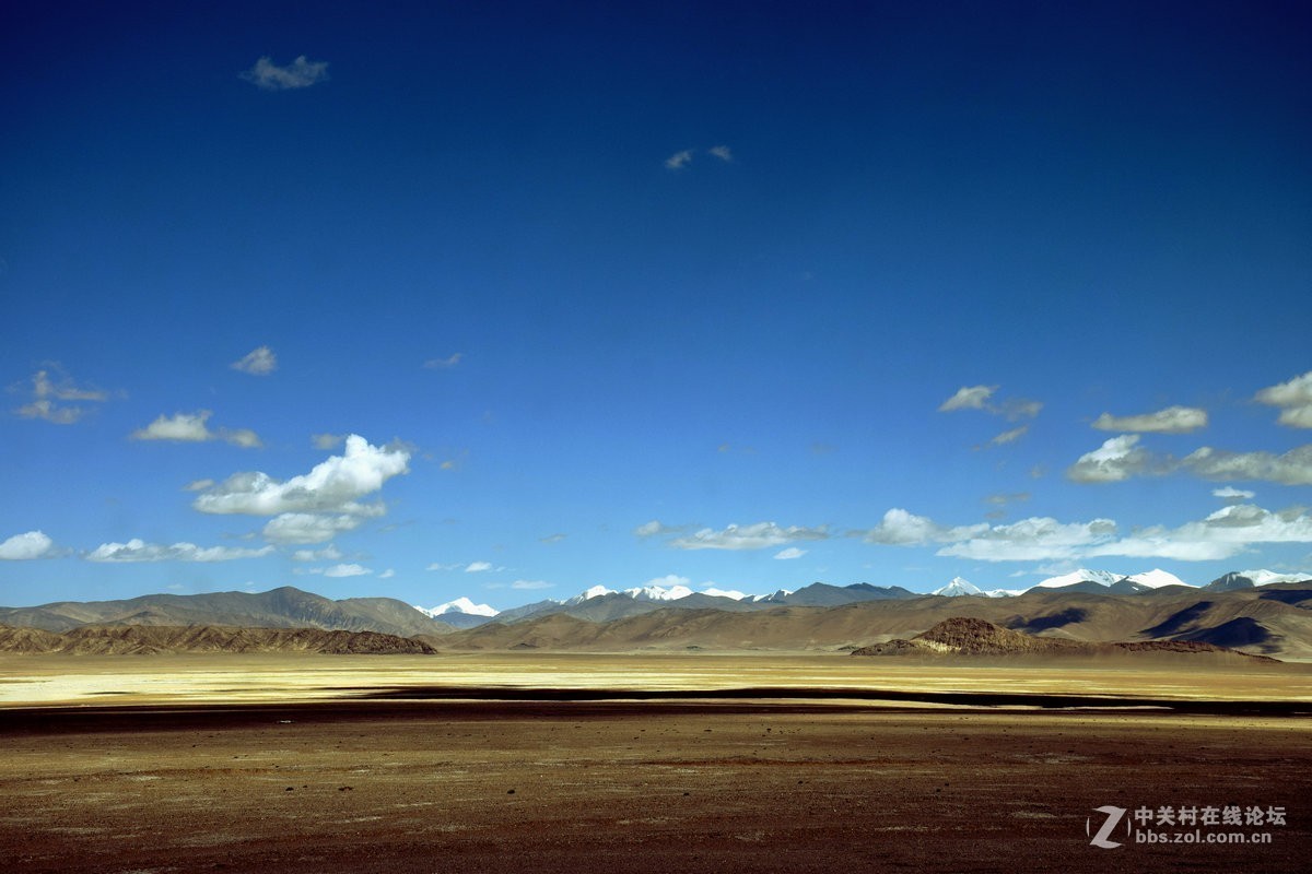 2018夏 川新藏（175）阿克赛钦藏羚羊