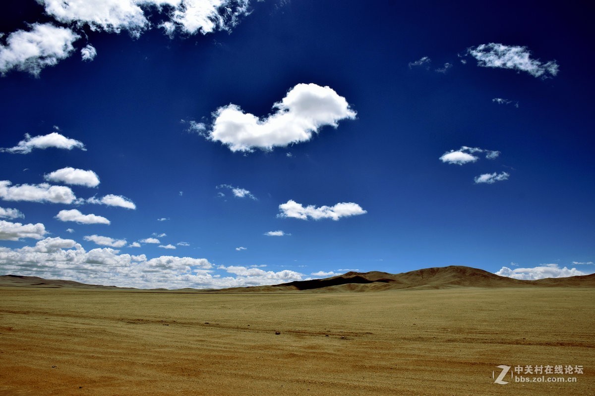 2018夏 川新藏（175）阿克赛钦藏羚羊