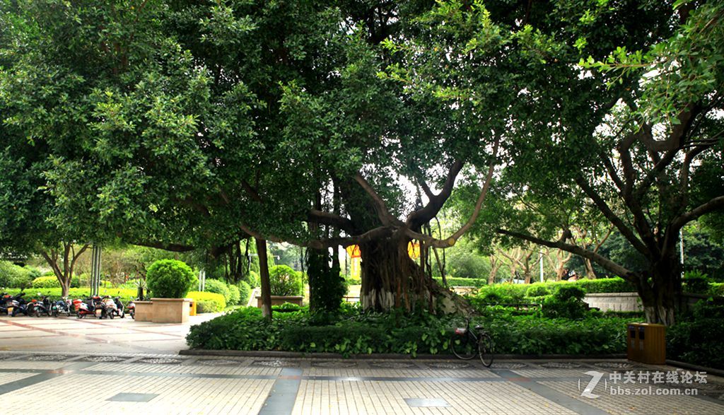 泉州市中山公园