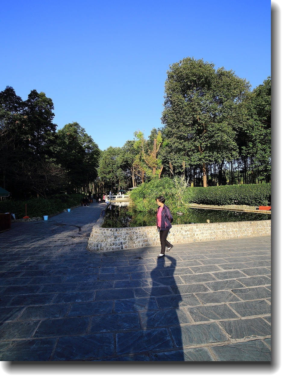 #ZOL月赛-记录最后的2015#—秋色正浓