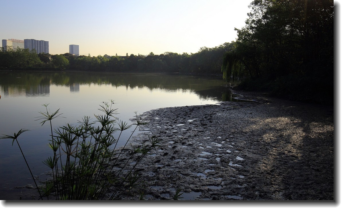 #ZOL月赛-记录最后的2015#—秋色正浓