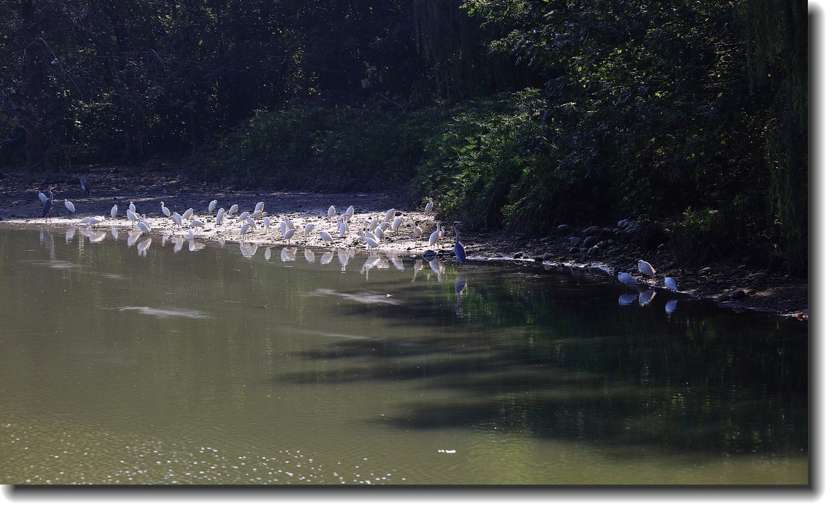 #ZOL月赛-记录最后的2015#—秋色正浓