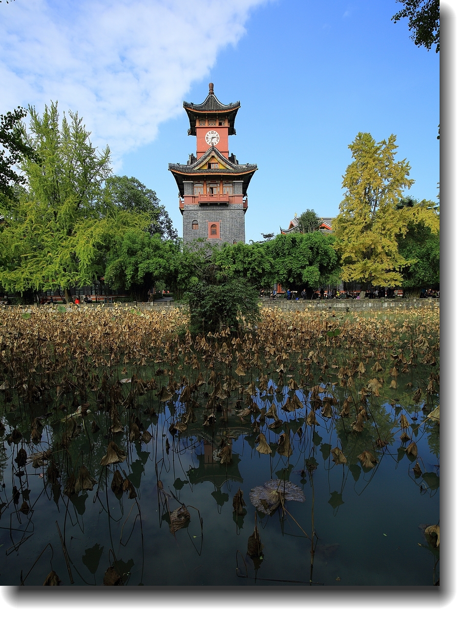 #ZOL月赛-记录最后的2015#—秋色正浓