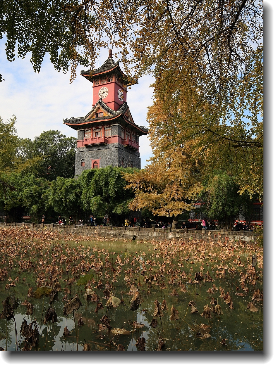 #ZOL月赛-记录最后的2015#—秋色正浓