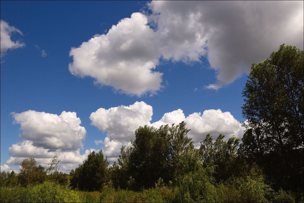 休闲随拍（312）