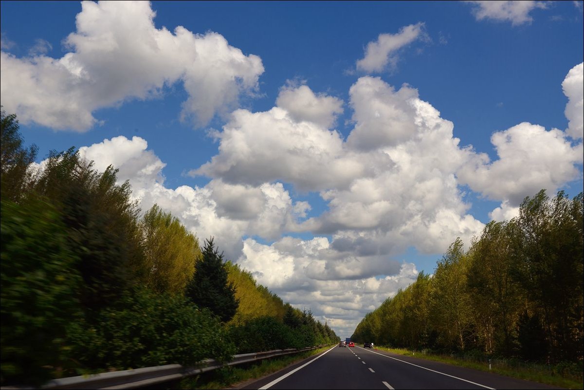 休闲随拍（312）