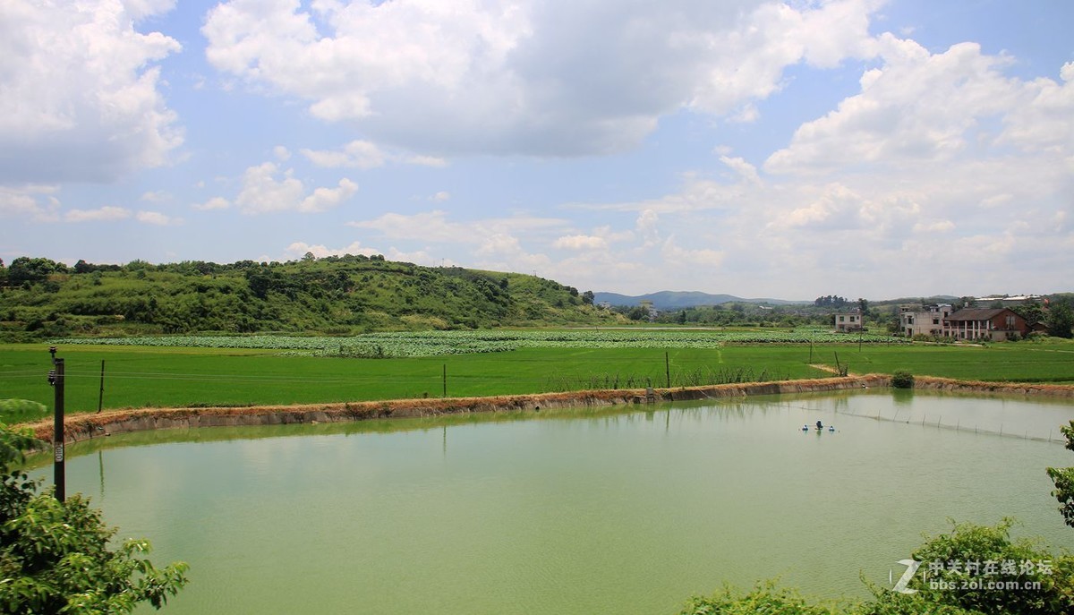 #佳能月赛-人与自然# ---乡间小景