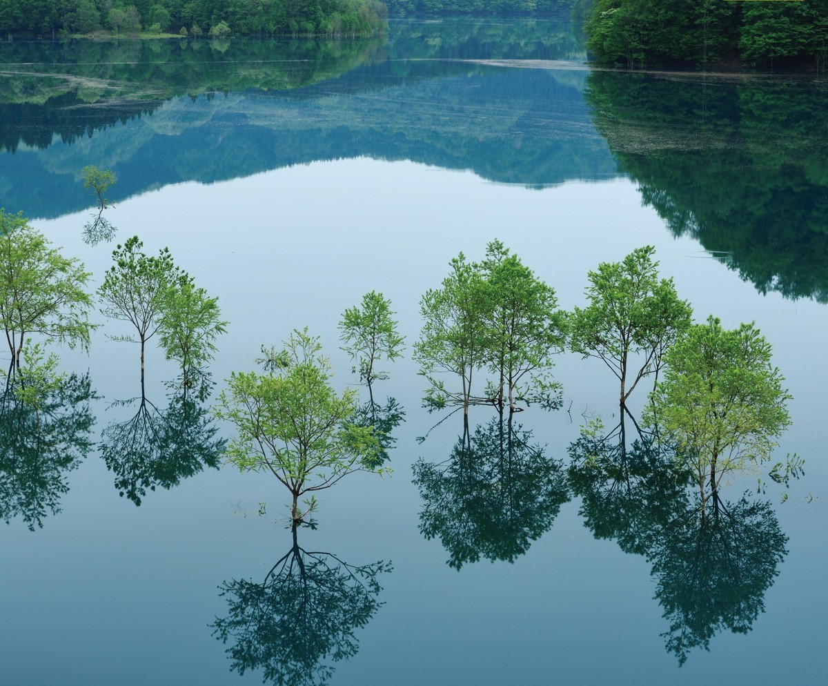 转载：尼康之眼