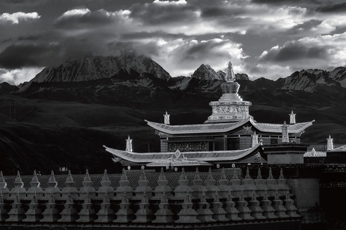 深度剖析 如何在ACR中制作高品质黑白影像