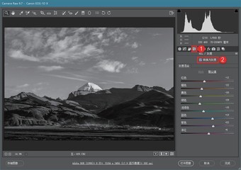 深度剖析 如何在ACR中制作高品质黑白影像