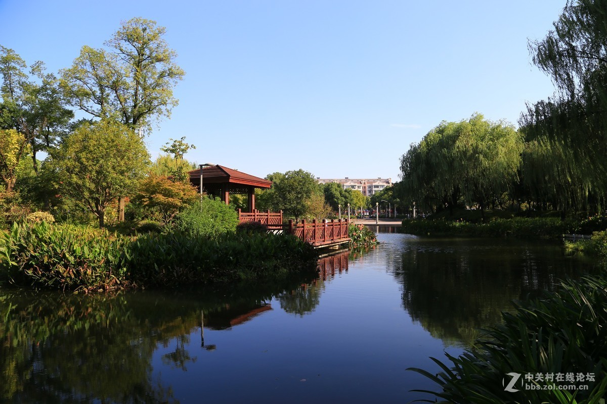 福民公园的早晨