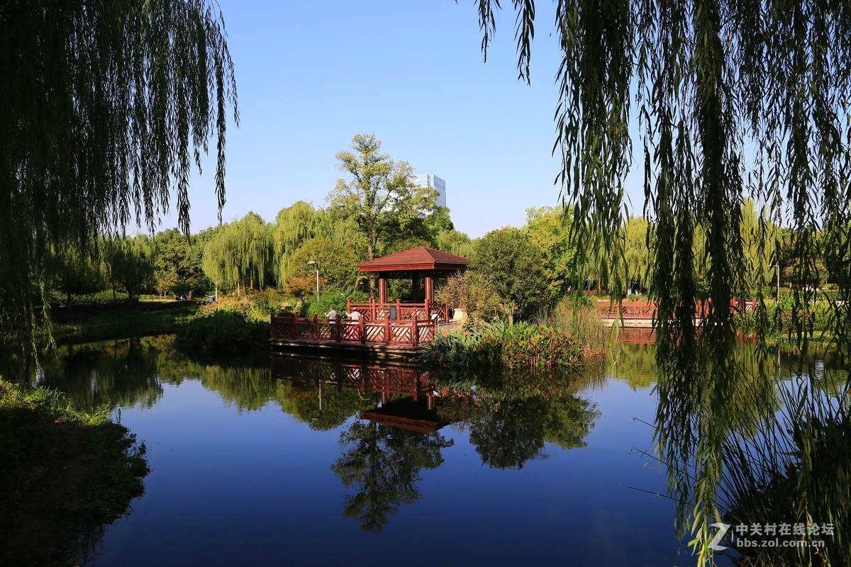 福民公园的早晨