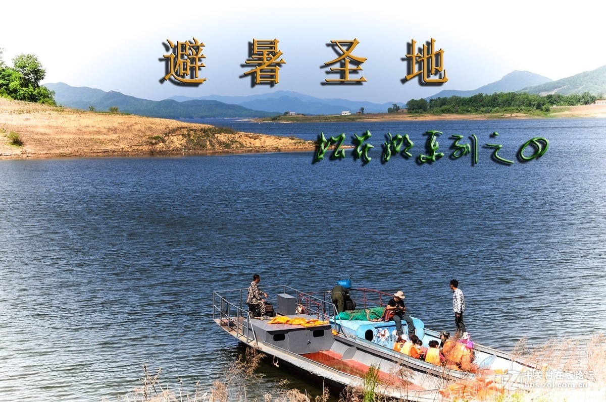 插树岭之夏