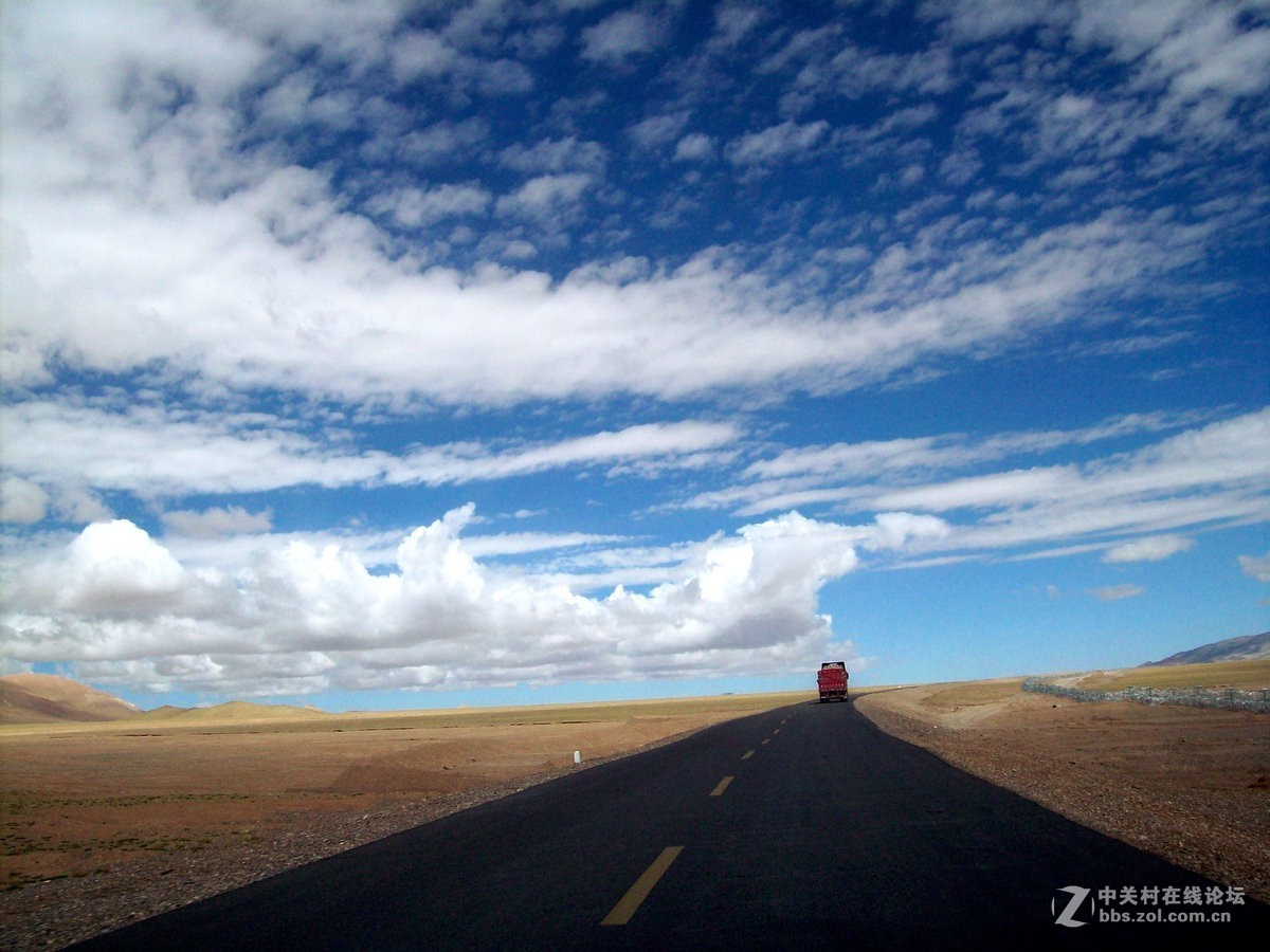 2018夏 川新藏（175）阿克赛钦藏羚羊