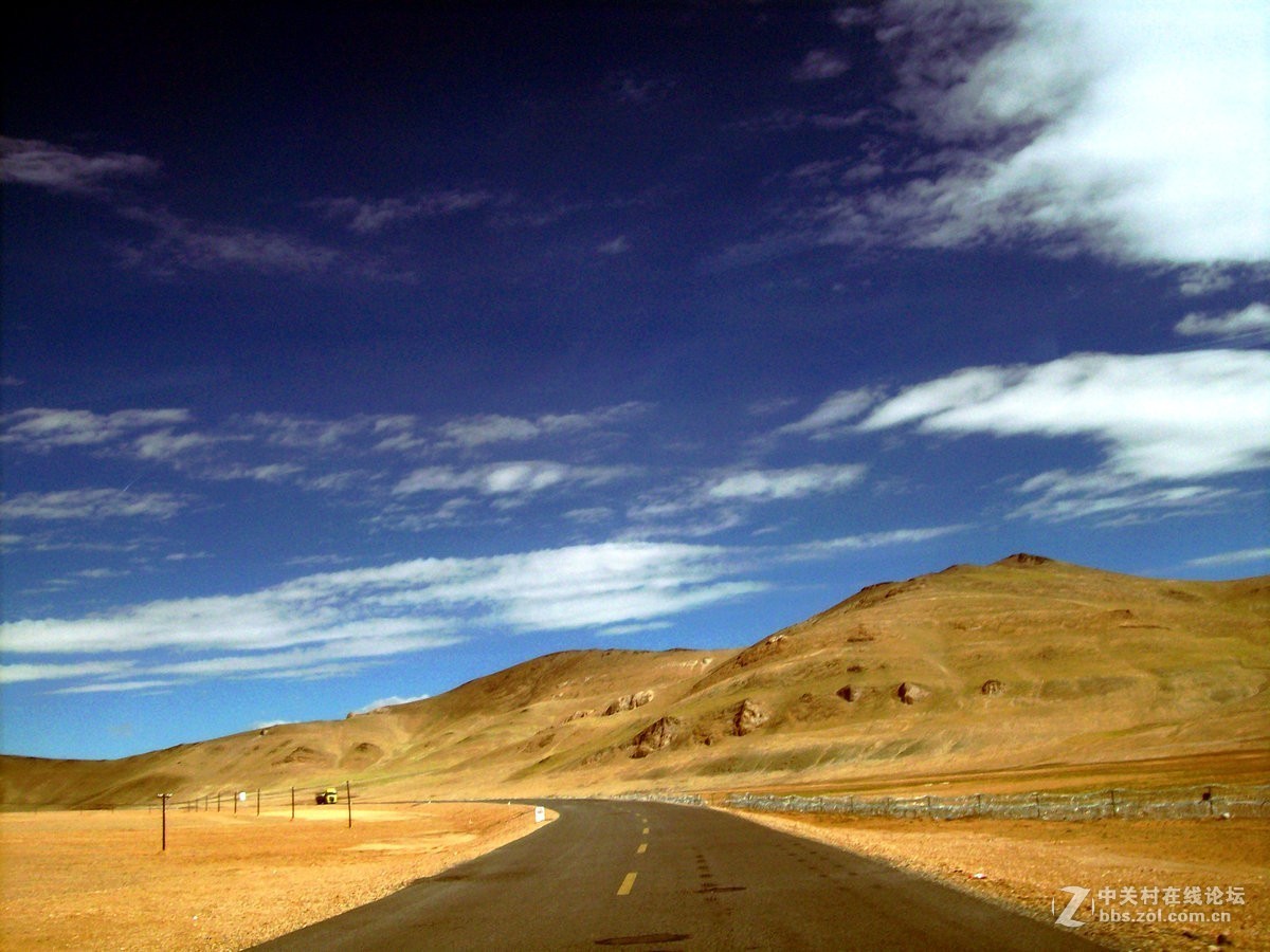 2018夏 川新藏（175）阿克赛钦藏羚羊