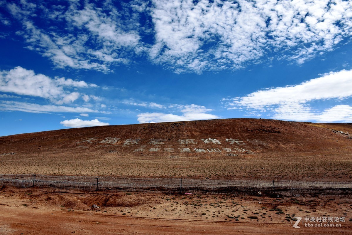 2018夏 川新藏（175）阿克赛钦藏羚羊