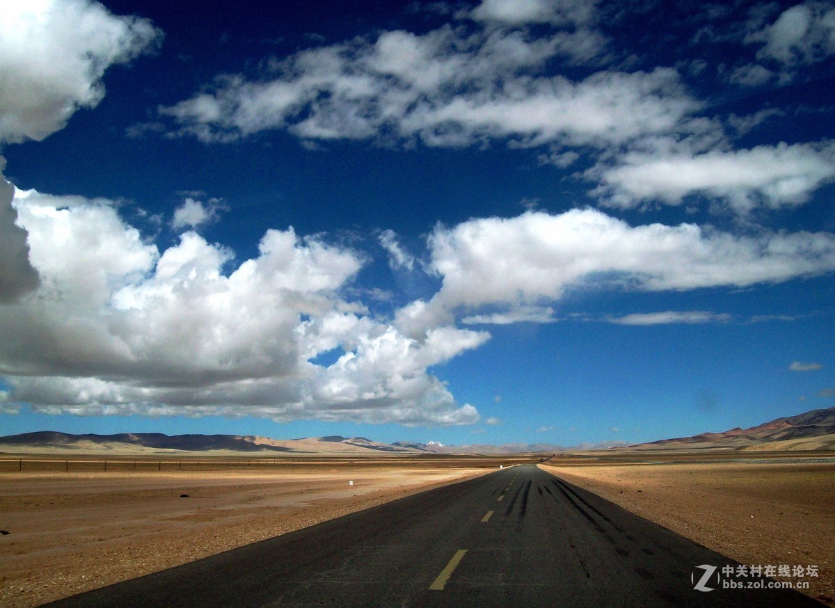 2018夏 川新藏（175）阿克赛钦藏羚羊