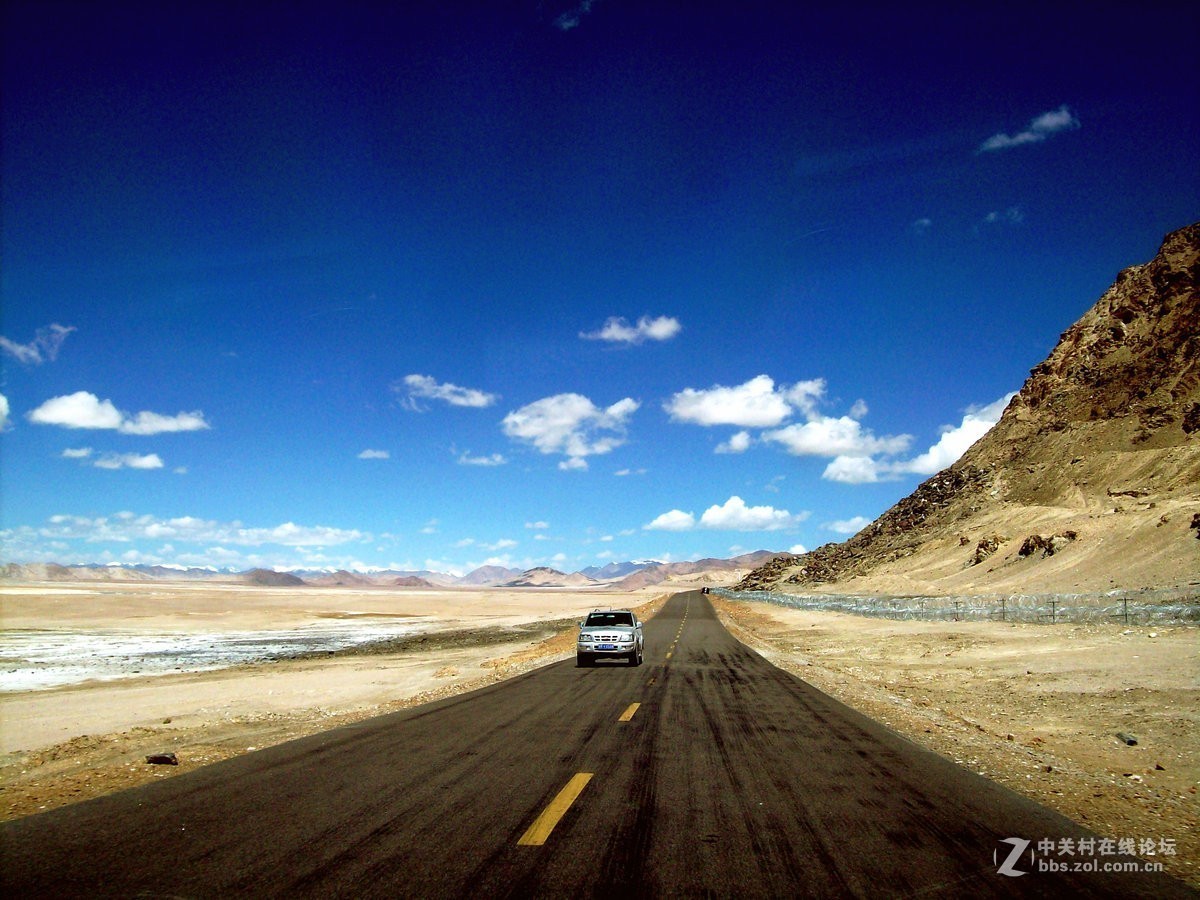 2018夏 川新藏（175）阿克赛钦藏羚羊