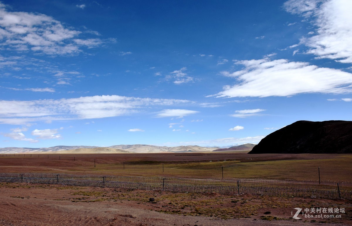 2018夏 川新藏（175）阿克赛钦藏羚羊