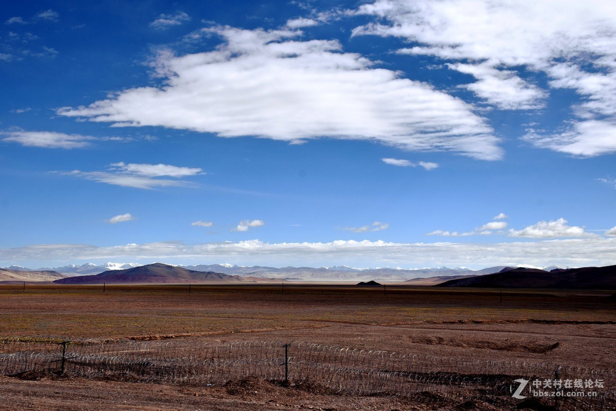2018夏 川新藏（175）阿克赛钦藏羚羊